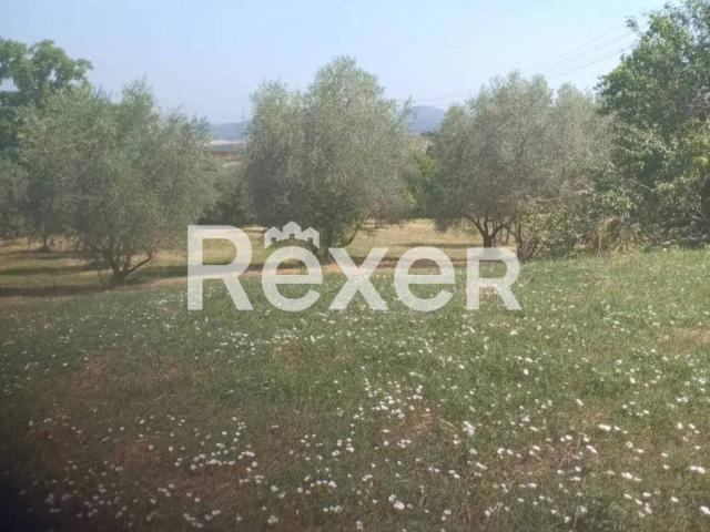 Terreno in vendita a Pienza, Toscana