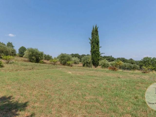 Terreno in vendita a Pienza, Toscana