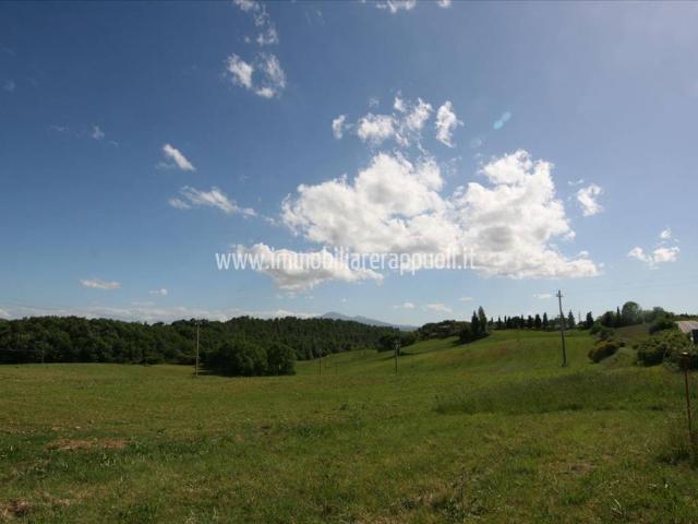 Terreno in vendita a Pienza, Toscana