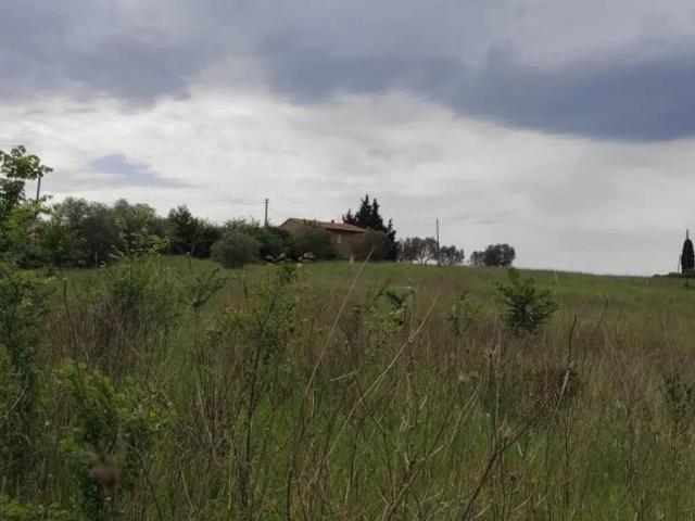 Terreno in vendita a Pienza, Toscana