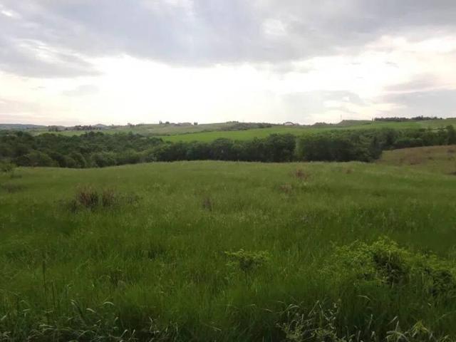 Terreno in vendita a Pienza, Toscana