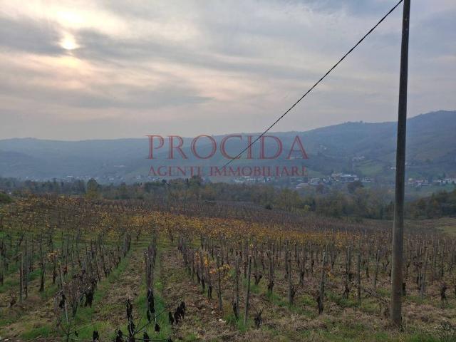 Terreno in vendita a Pietra De' Giorgi, Lombardia