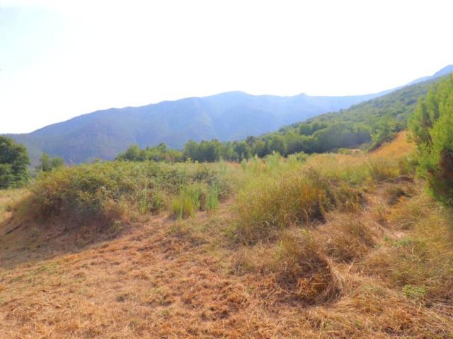 Terreno in vendita a Loano, Liguria
