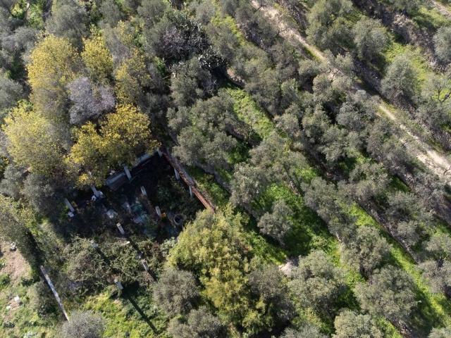 Terreno in vendita a Ranzi, Pietra Ligure