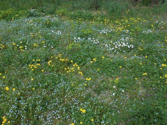 Terreno in vendita a Pietradefusi, Campania