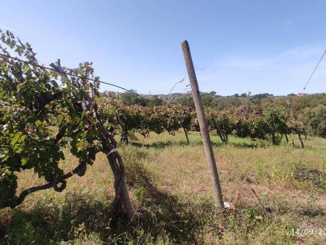 Terreno in vendita a Santa Elena Irpina, Pietradefusi