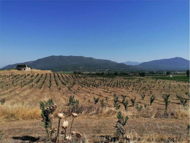 Terreno in vendita a Pietramelara, Campania