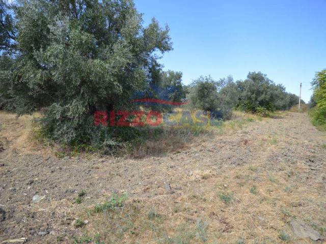 Terreno in vendita a Camigliano, Calabria