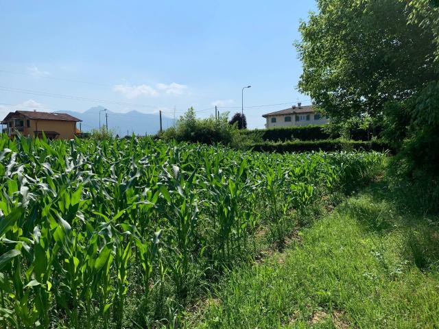 Terreno in vendita a Tonfano, Toscana