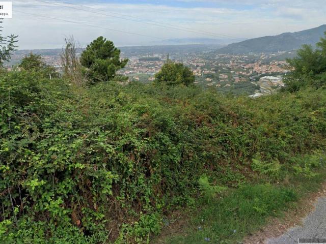 Terreno in vendita a Castello, Tonfano