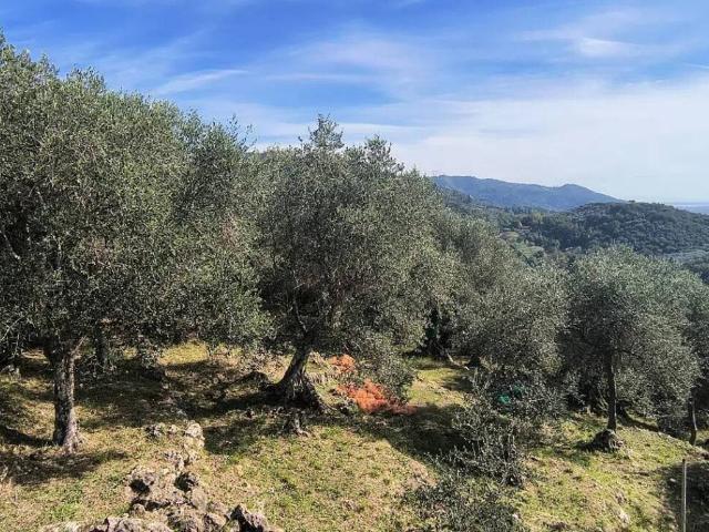 Terreno in vendita a Tonfano, Toscana