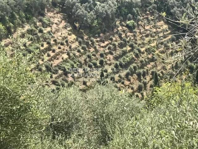 Terreno in vendita a Forte Dei Marmi, Toscana