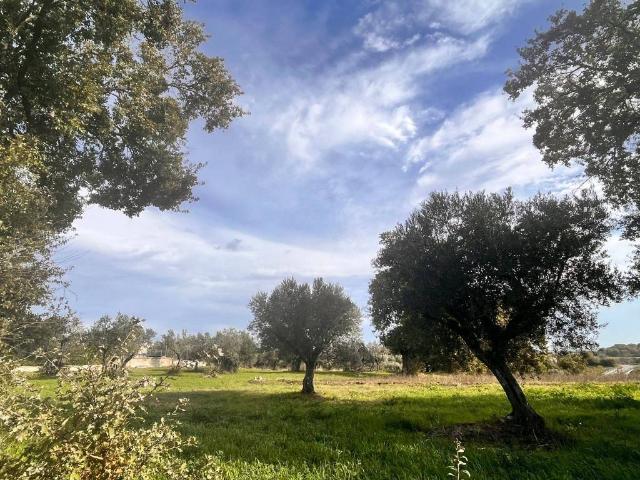 Terreno in vendita a Pietrelcina, Campania