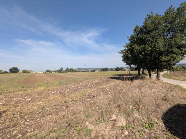 Terreno in vendita a Pietrelcina, Benevento