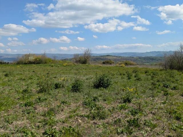 Terreno in vendita a Pietrelcina, Campania