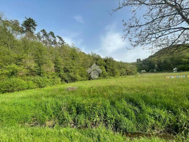 Terreno in vendita a Pieve A Nievole, Toscana