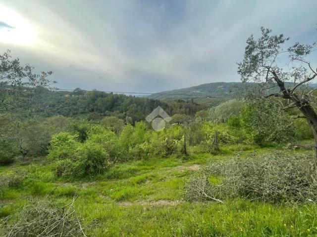 Terreno in vendita a Pieve A Nievole, Toscana