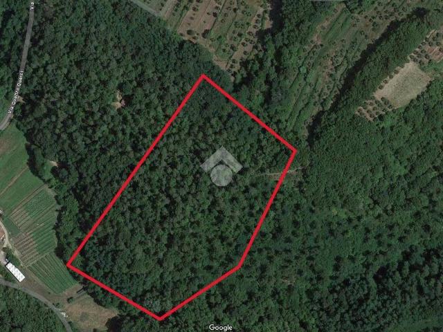 Terreno in vendita a Pieve A Nievole, Toscana