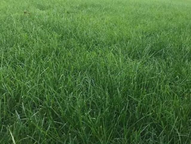 Terreno in vendita a Crespano Del Grappa, Veneto