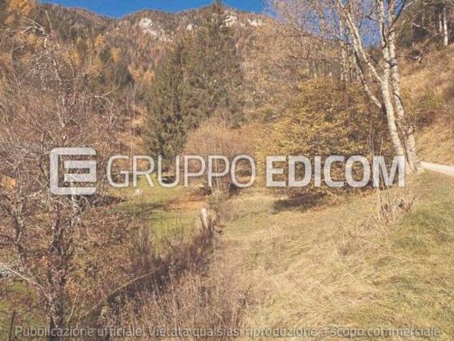 Terreno in vendita a Pieve Di Cadore, Veneto