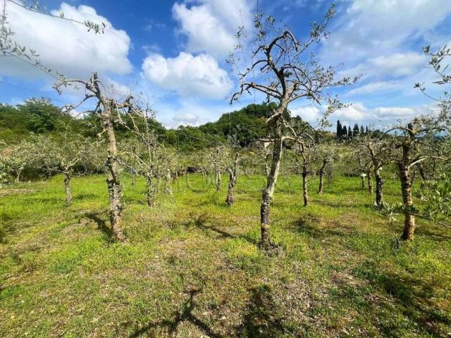 Terreno in vendita a Pieve Santo Stefano, Toscana