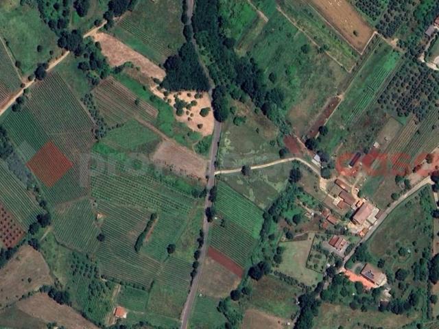 Terreno in vendita a Piglio, Lazio