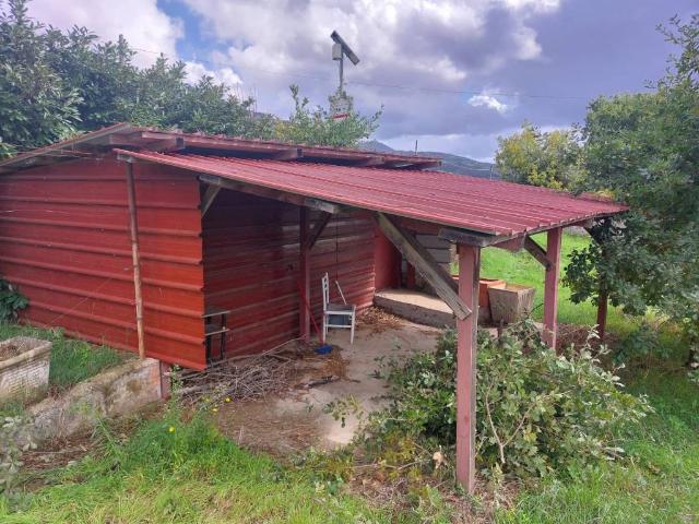 Terreno in vendita a Piglio, Lazio