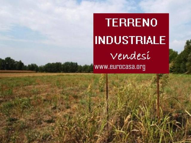 Terreno in vendita a Pignataro Maggiore, Campania