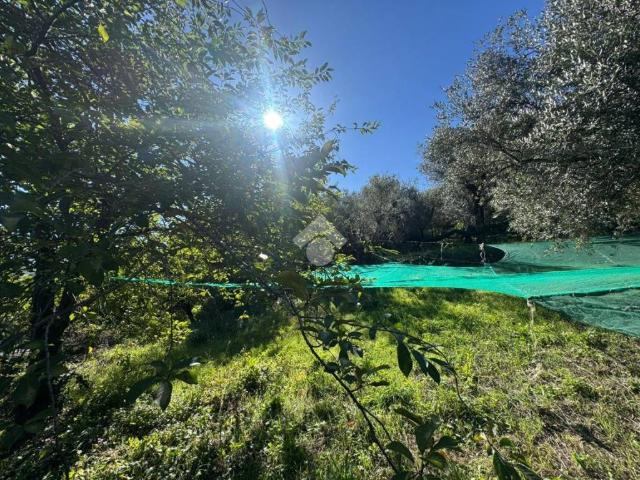 Terreno in vendita a Pimonte, Campania