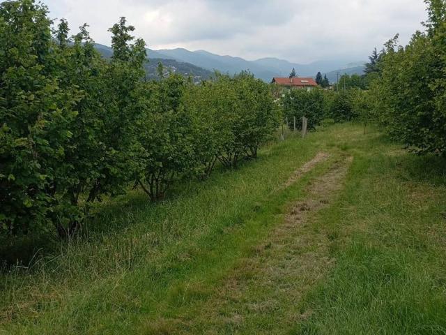 Terreno in vendita a Piemonte, Torino