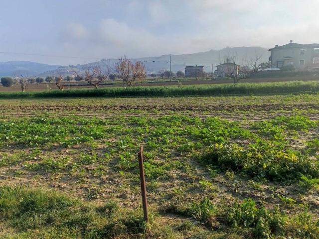 Terreno in vendita a Scerne, Pineto