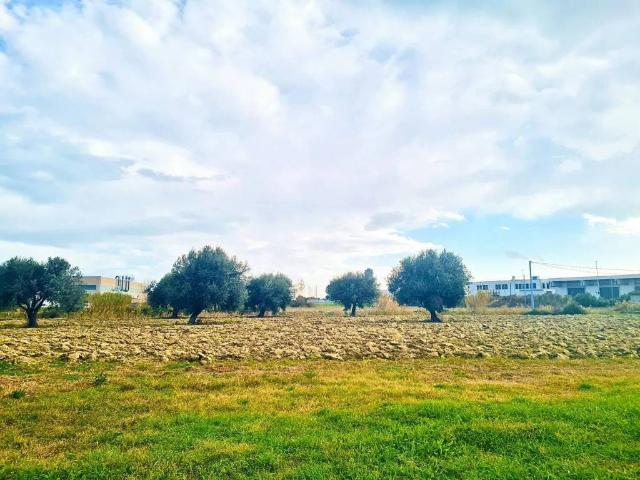 Terreno in vendita a Scerne, Pineto