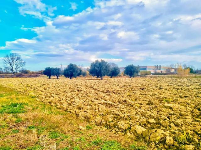 Terreno in vendita a Scerne, Pineto