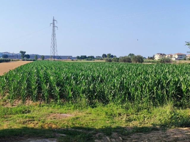 Terreno in vendita a Pineto, Abruzzo