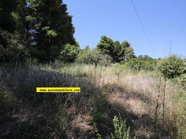 Terreno in vendita a Quartiere delle nazioni, Pineto