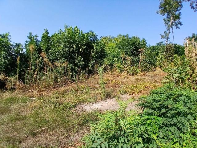 Terreno in vendita a Pino Torinese, Torino