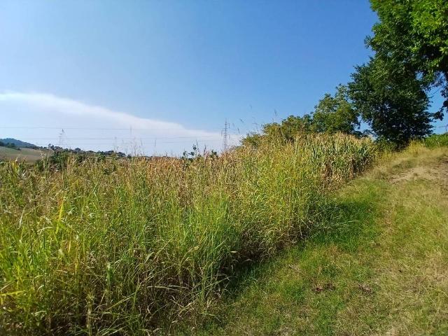 Terreno in vendita a Pino Torinese, Torino