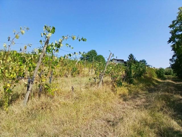 Terreno in vendita a Pino Torinese, Torino