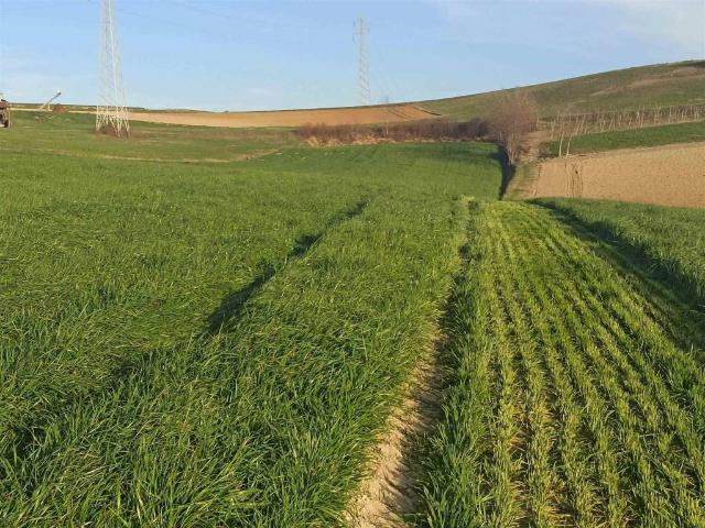 Terreno in vendita a Piemonte, Torino
