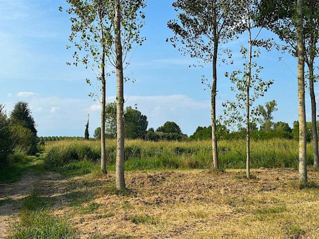 Terreno in vendita a Levada, Piombino Dese