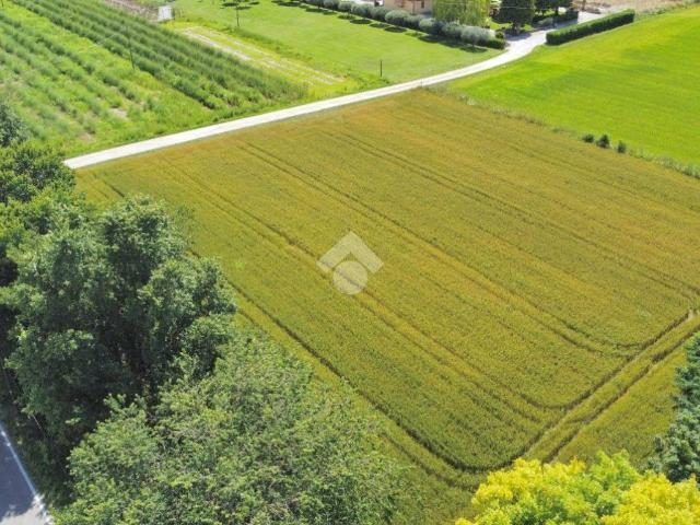 Terreno in vendita a Piombino Dese, Veneto