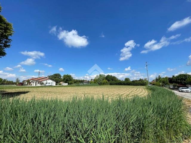 Terreno in vendita a Trebaseleghe, Veneto