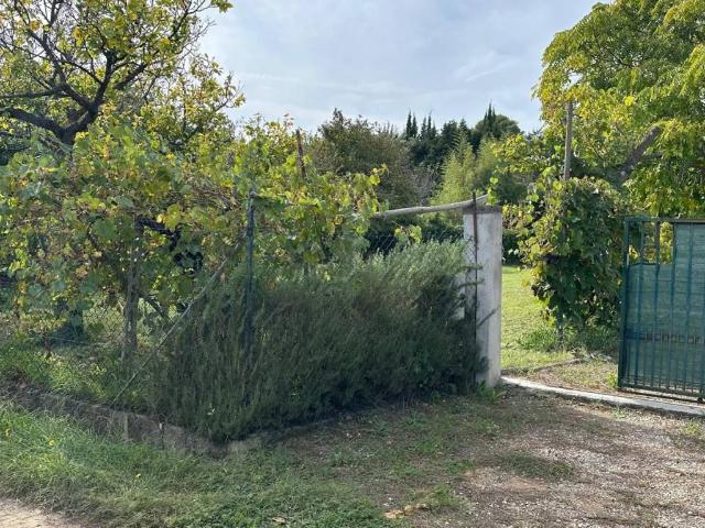 Terreno in vendita a Populonia Stazione, Piombino