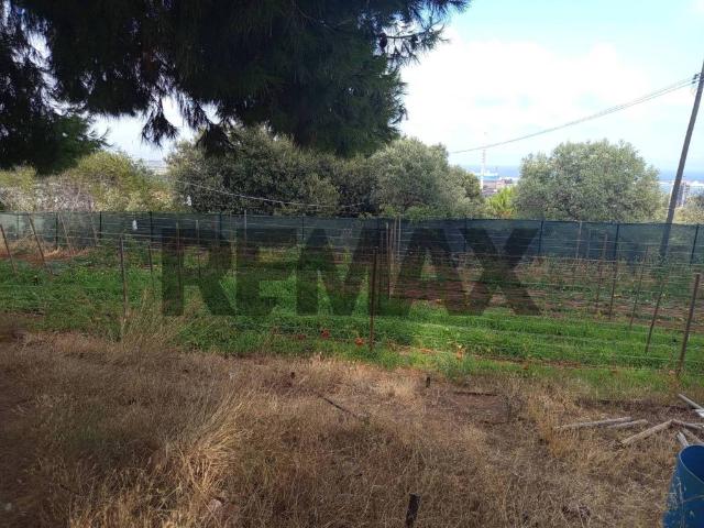 Terreno in vendita a Poggetto, Piombino