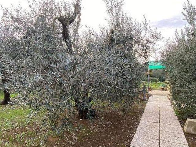 Terreno in vendita a Salivoli, Piombino