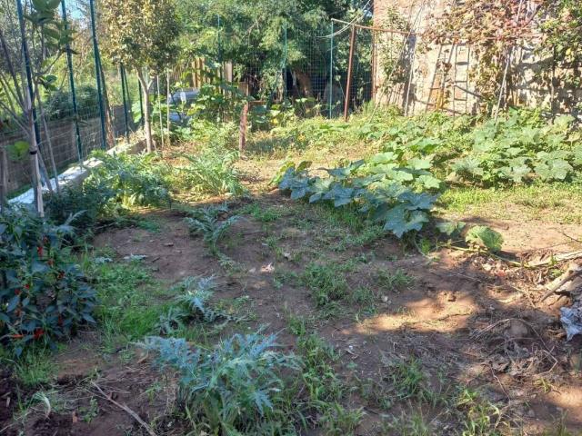 Terreno in vendita a Tolla, Piombino