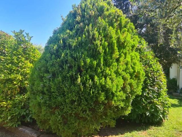 Terreno in vendita a Poggetto, Piombino