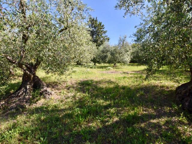 Terreno in vendita a Vignale, Piombino