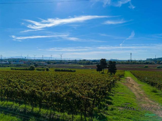 Terreno in vendita a Populonia Stazione, Piombino