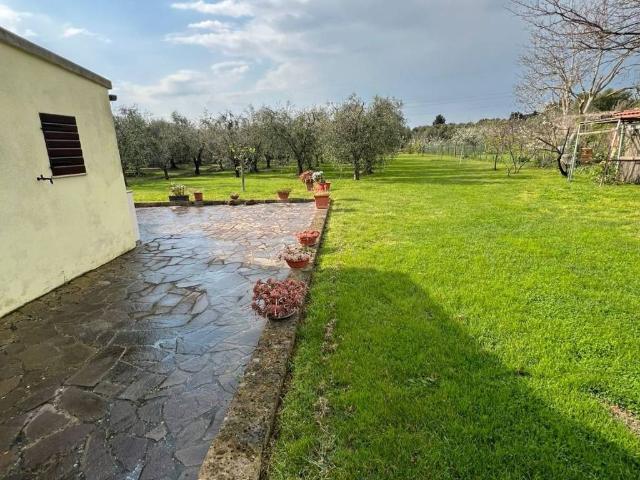 Terreno in vendita a La Sdriscia, Piombino